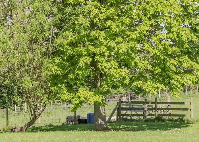 Danby Semesterbostad *