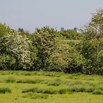 Danby ويتبي