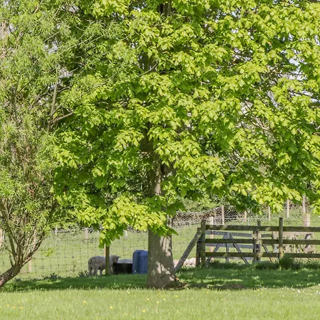 Danby Holiday home *